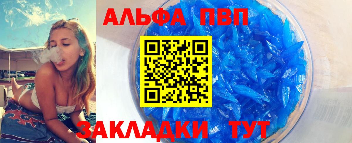 Alfa_PVP СК КРИС Курчалой