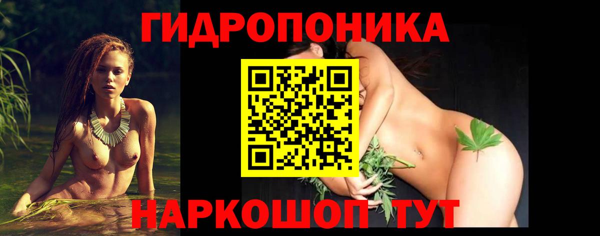 Каннабис VHQ  Вход с VPN  Бошки Шишки ГИДРОПОН  Шишки марихуана тримм  Курчалой  Канабис VHQ 
